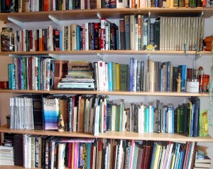 My newly organized bookshelf