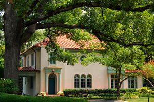 Another House (and a Magnificent White Oak Tree) in Atlanta's Druid Hills