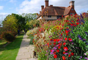 Cat Among the Pigeons at Great Dixter!