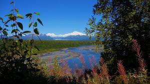 I fell in love with Denali - mountains - Alaska - landscape
