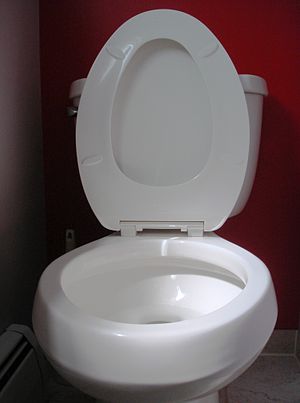 English: toilet seat up Deutsch: hochgeklappte...
