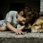 The Happiness Found in a Home With Pets