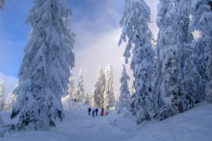 This was last year on Seymour mtn.