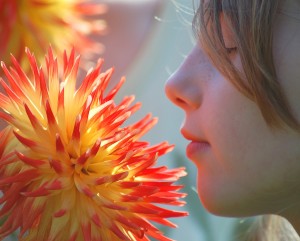 Flower meet and greet