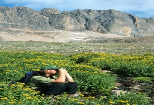 Absaroka-Beartooth Wilderness, Backpacker Viewing Wildlife