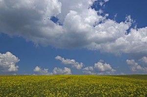 What a beautiful day-Bavaria today