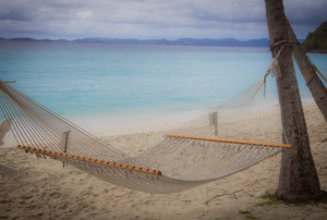 Dreamy Hammock In The Virgin Islands