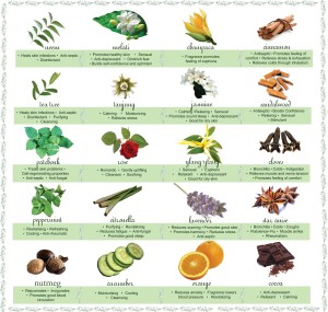 essential-oils-chart